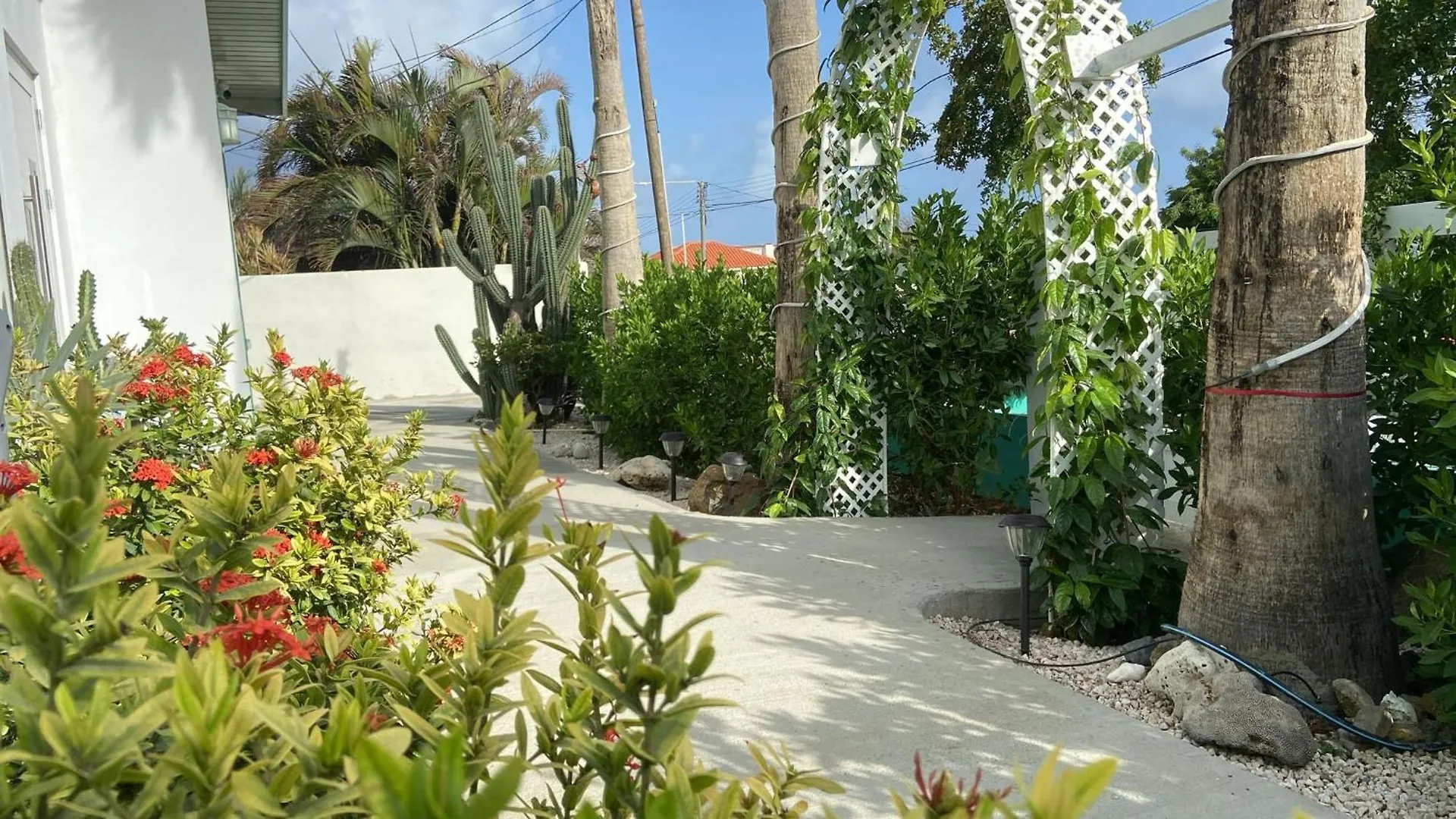 Fantastic Private Tropical Villa In Παλμ Μπιτς