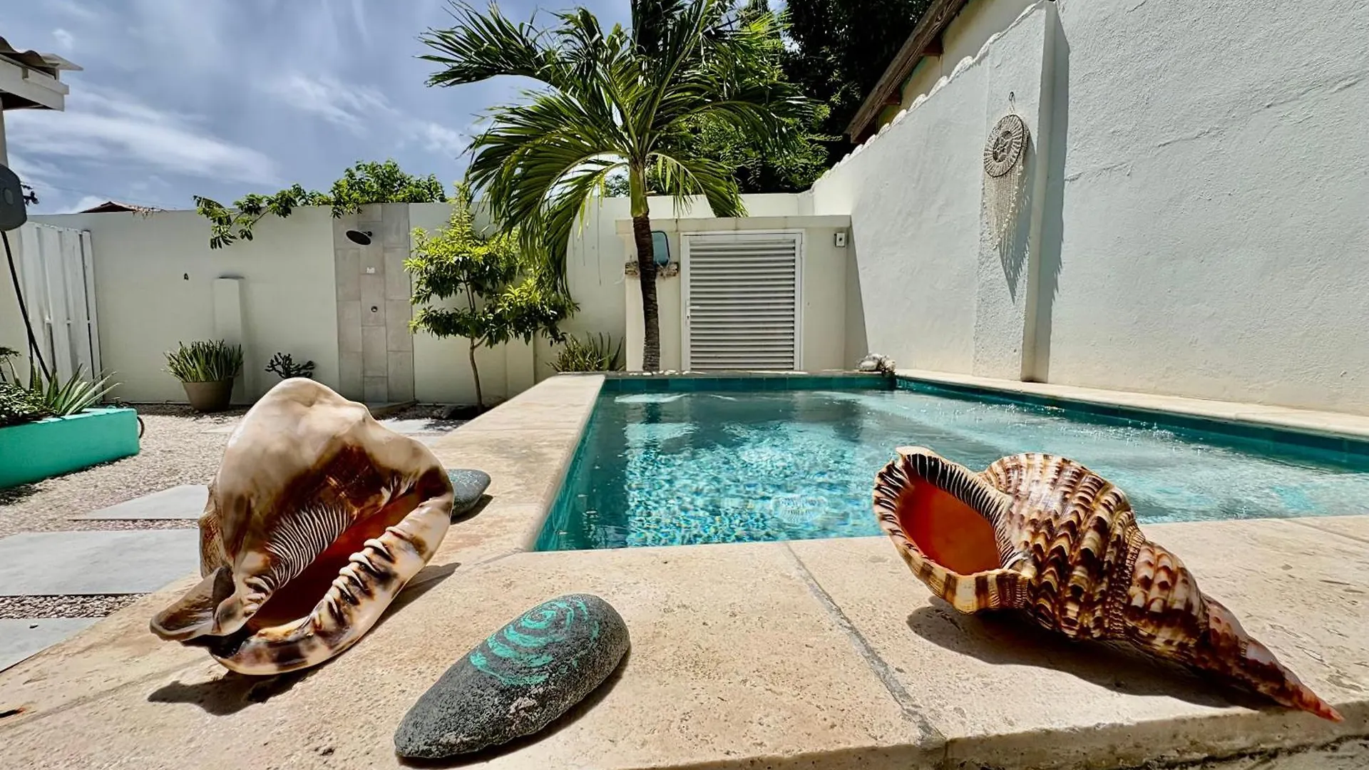 Fantastic Private Tropical Villa In Palm Beach Aruba
