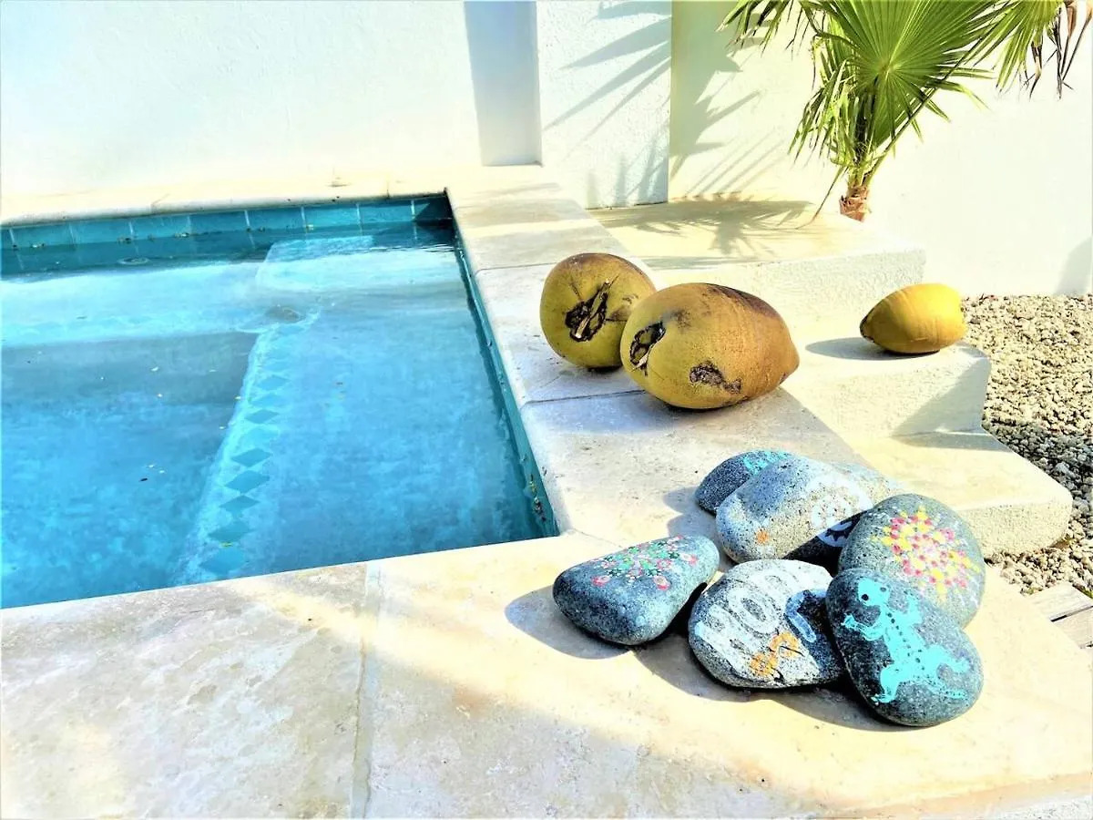Fantastic Private Tropical Villa In Palm Beach Aruba
