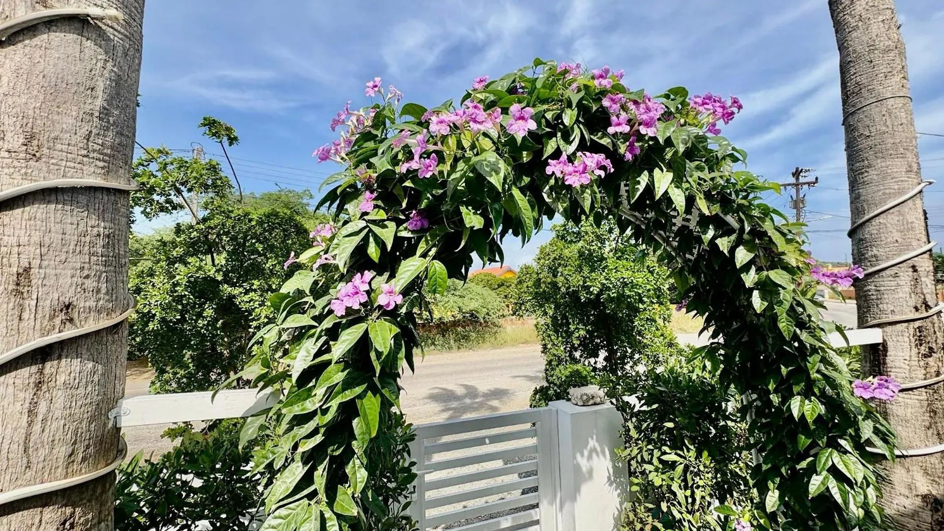 Fantastic Private Tropical Villa In 棕榈滩