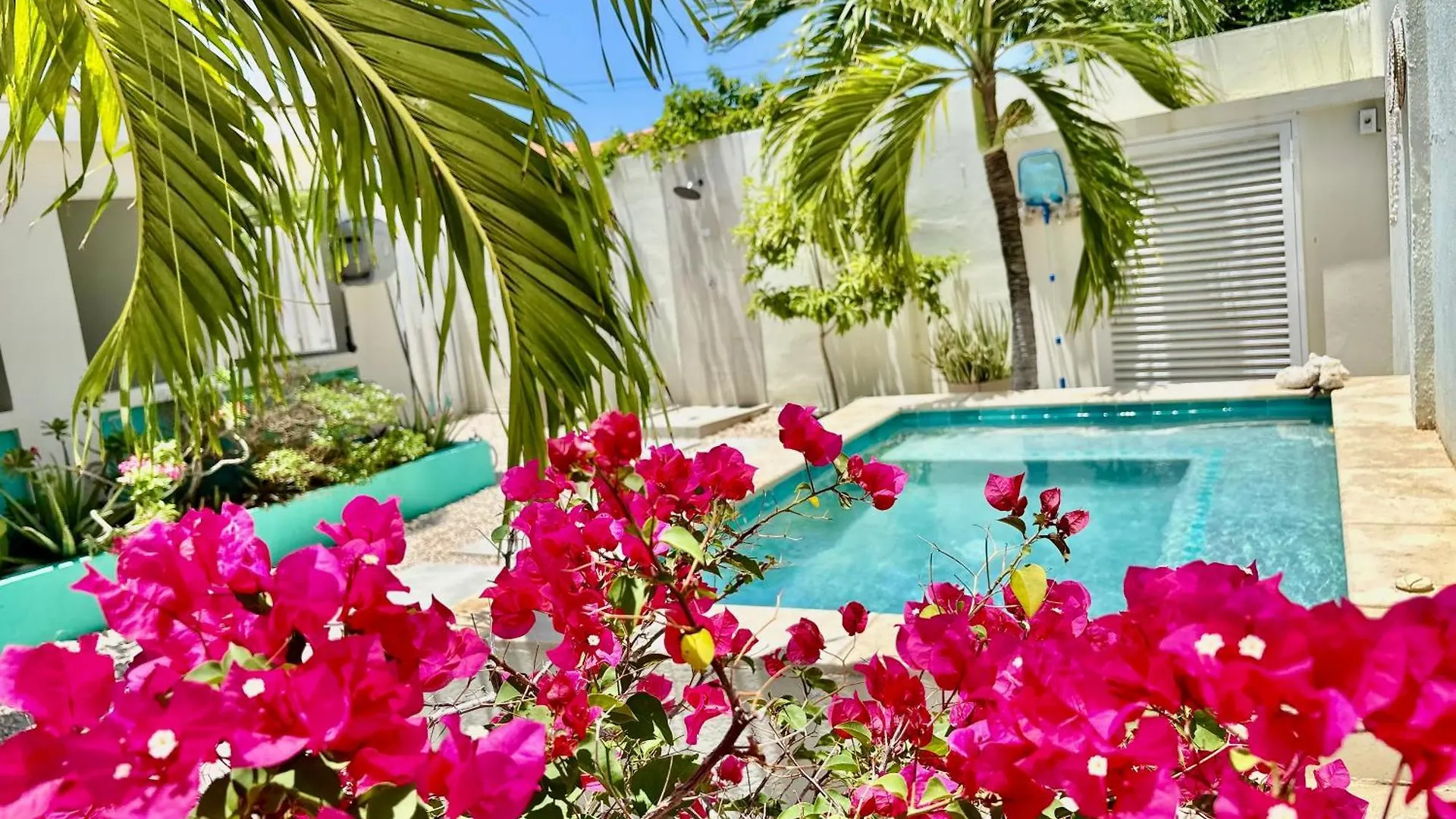 Fantastic Private Tropical Villa In Palm Beach联系方式